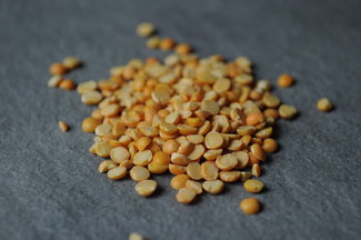040111f__yellowsplitpea_03
