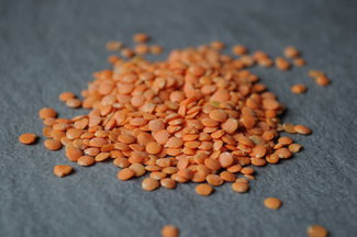 040111f__redlentil_04