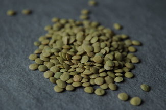 040111f__sproutedgreenlentil_03