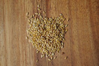 040111f__goldenflax_03
