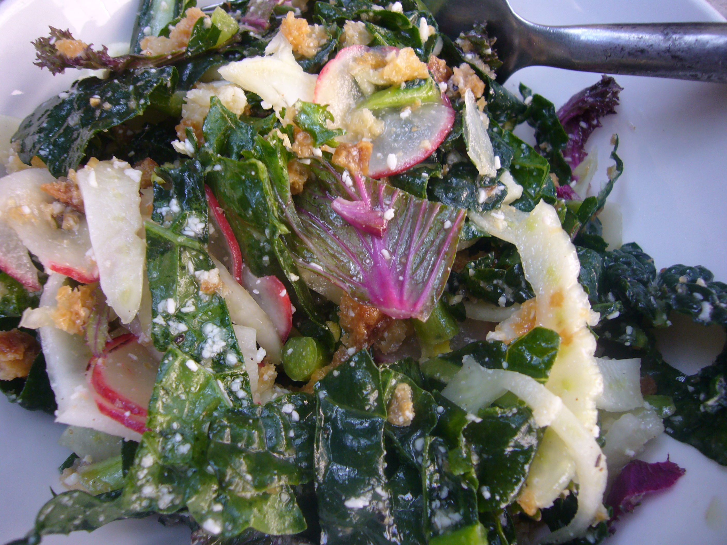  Kale and Fennel Salad 