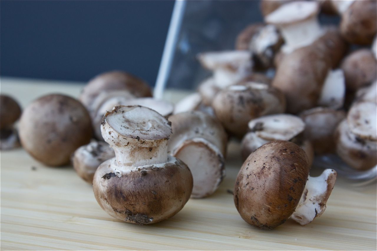 Roasted Mushrooms, Truffled and Herbed