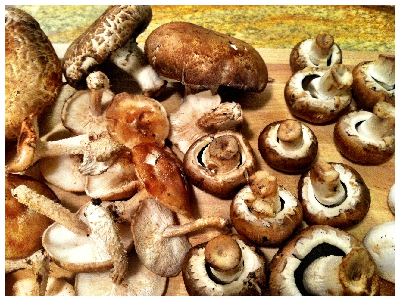 Chunky Mushroom and Asparagus Soup