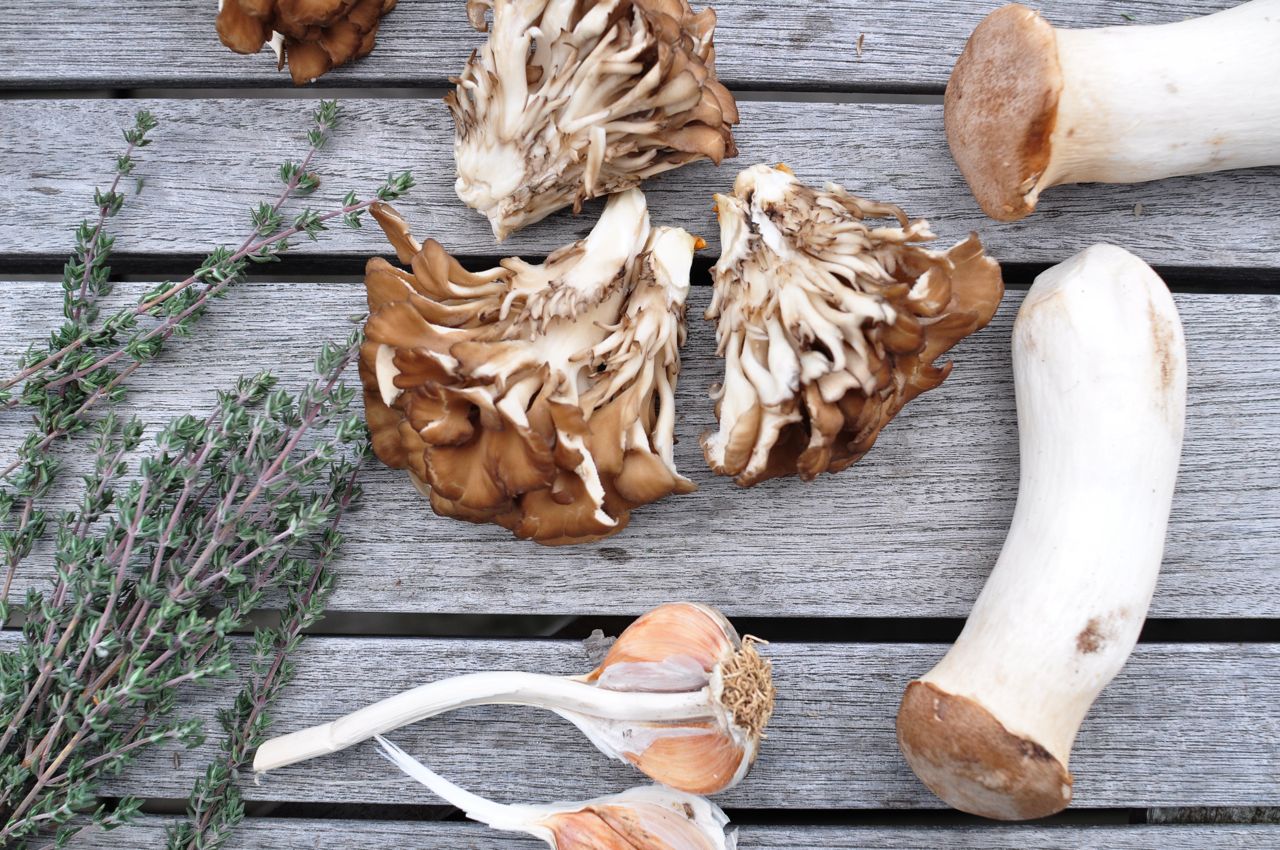 Sautéed hen of the woods and king trumpet mushrooms with garlic and fresh thyme