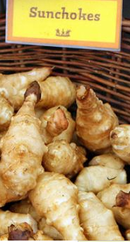 Crunchy Winter Salad of Sunchokes, Fennel & Apple