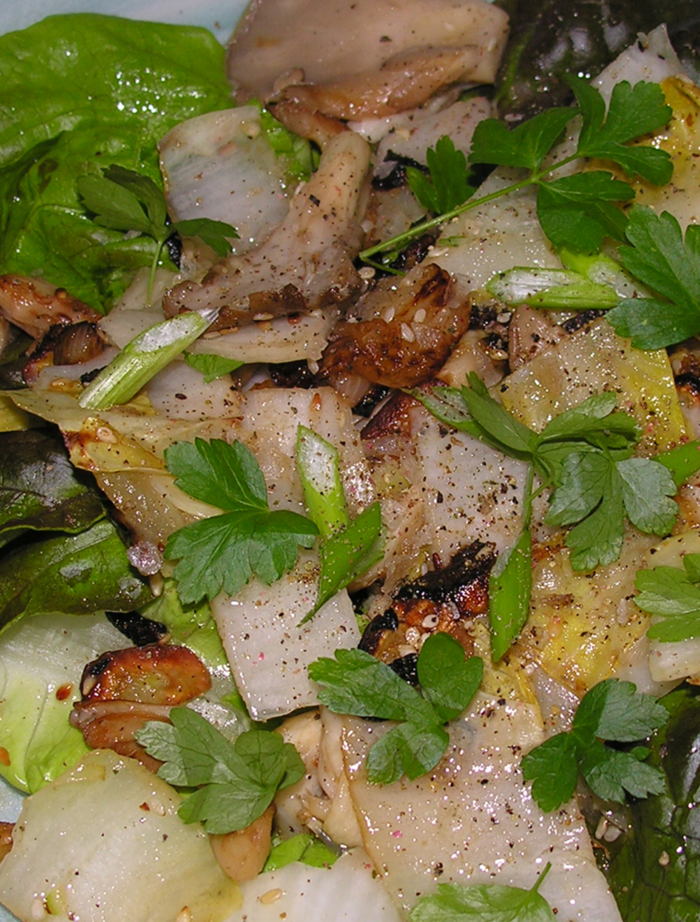 Warm endive and oyster mushroom salad