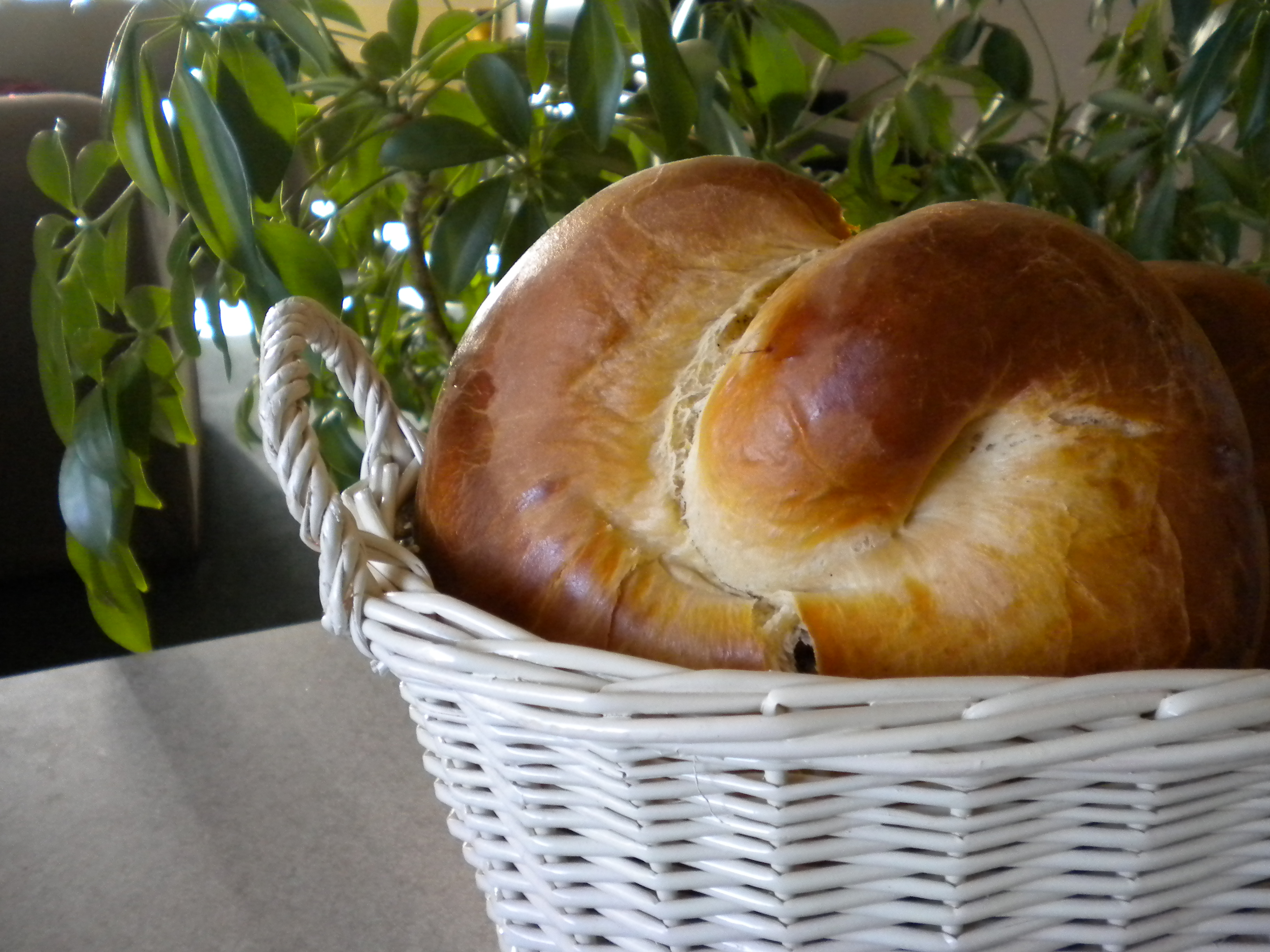 Easter Bread  ( Bulgarian Kozunak )