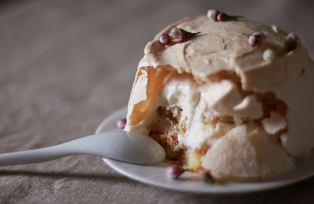 Tiramilova (a plum wine tiramisu masquerading as a pavlova)
