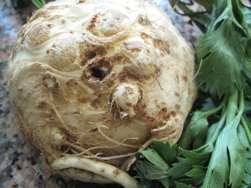 Apple and Celeriac Remoulade