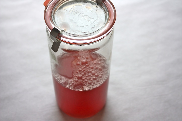 Rhubarb Cordial
