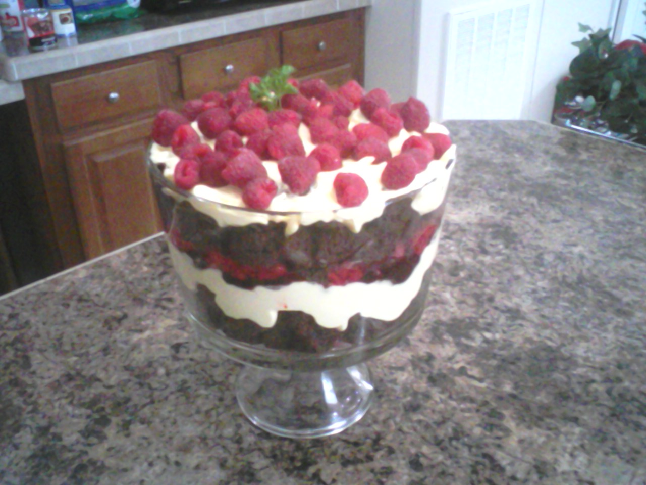 Raspberry Chocolate Cream Trifle