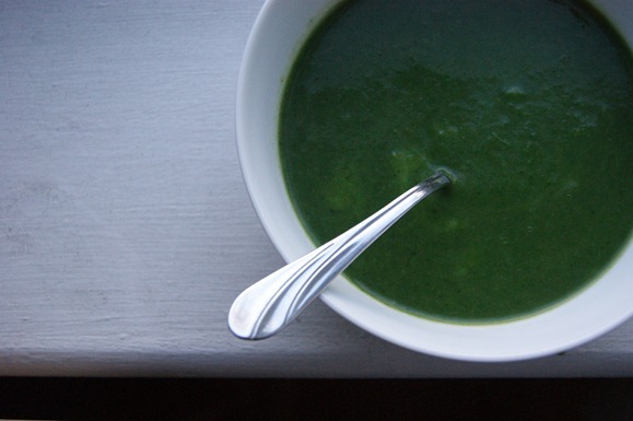 Nettle and Green Garlic Soup