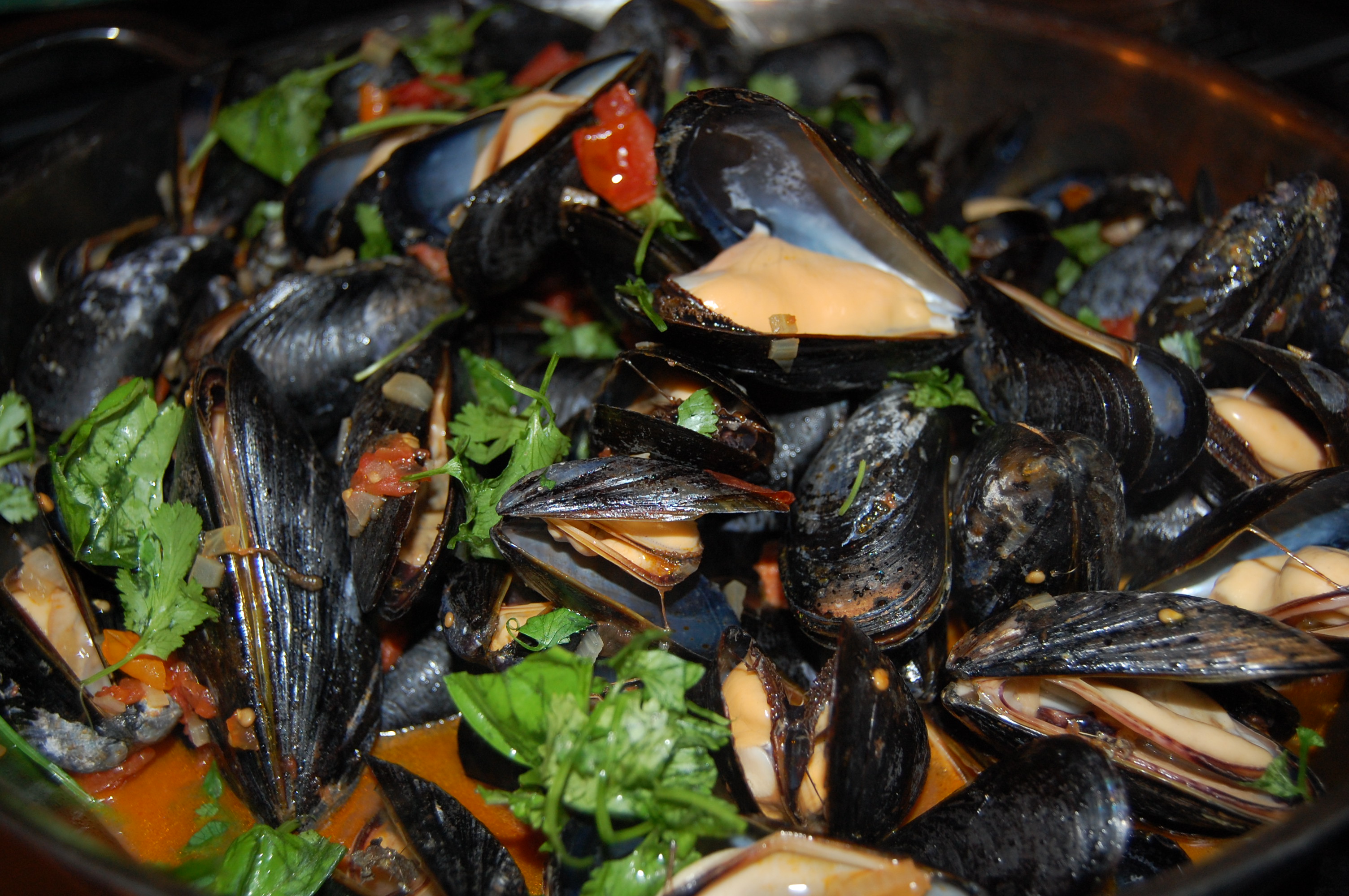 YaYa's Mussels with Fresh Fennel, Sausage and Tomatoes 
