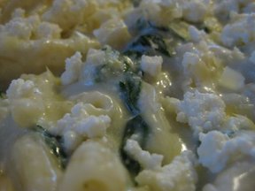 Emily's Cheesy Spinach and Mac