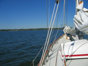 Picture_118