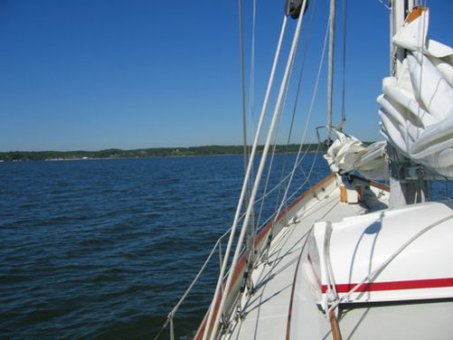 Picture_118