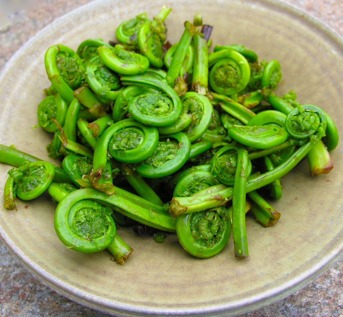 Sauteed fiddlehead ferns