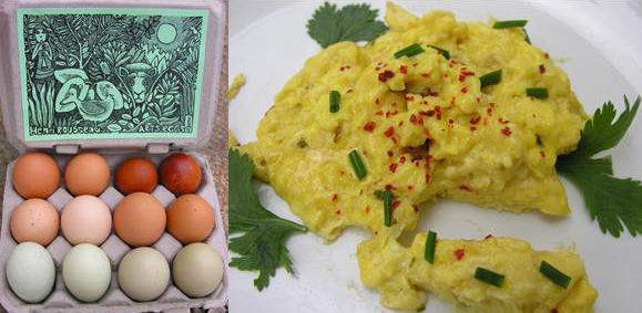 Egg1