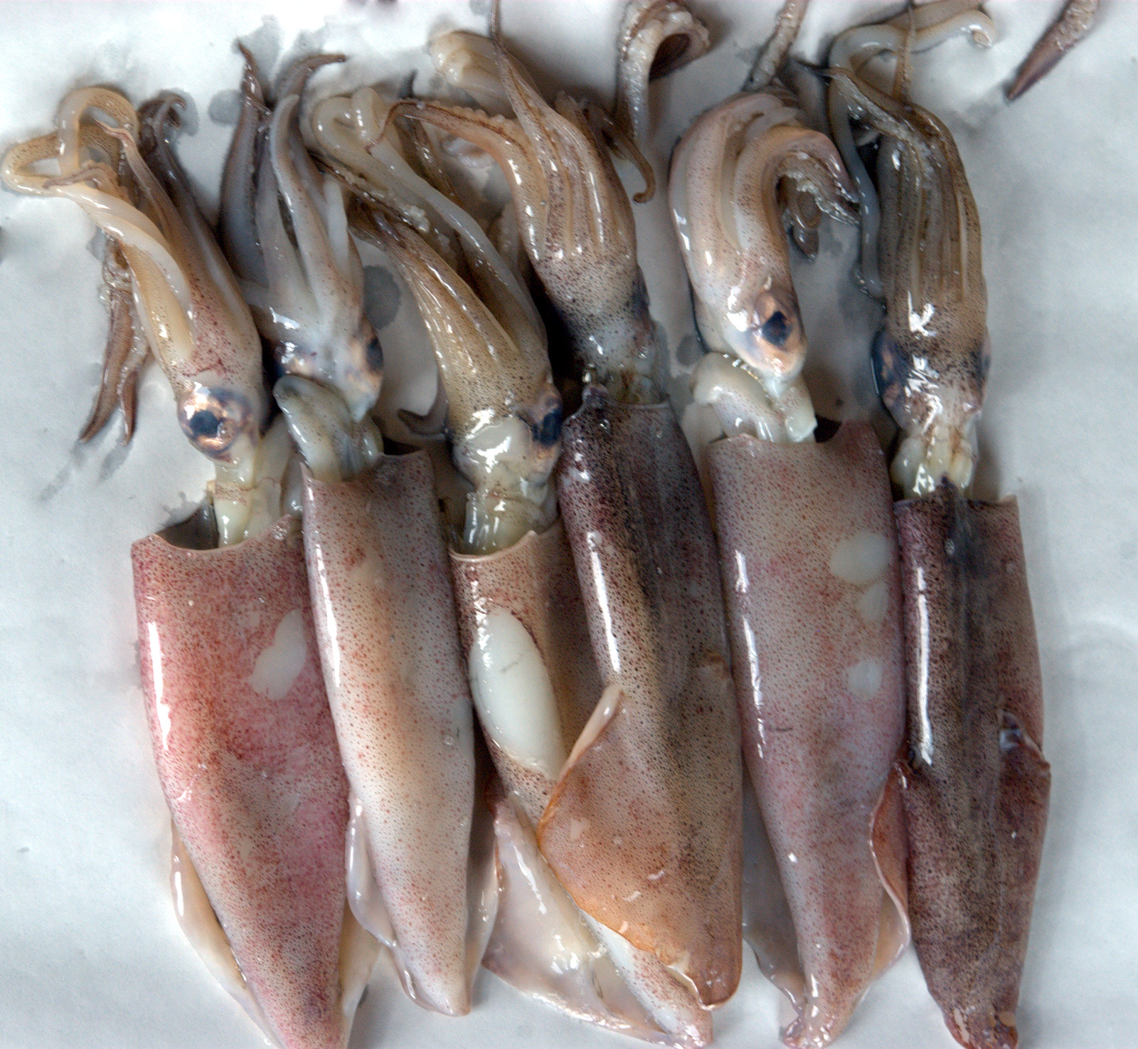 Quick Wok-Fired Squid with Greens