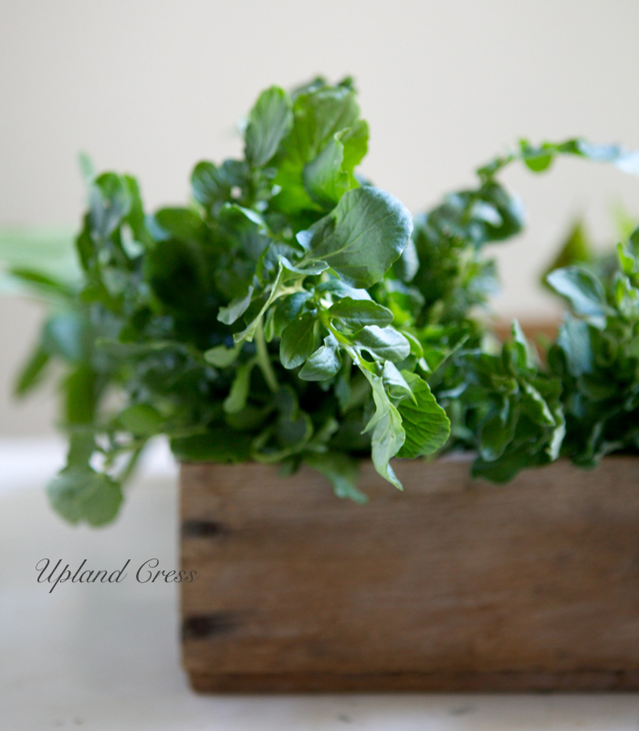 Spring Greens with Crispy Potatoes, Herbs & Asparagus 