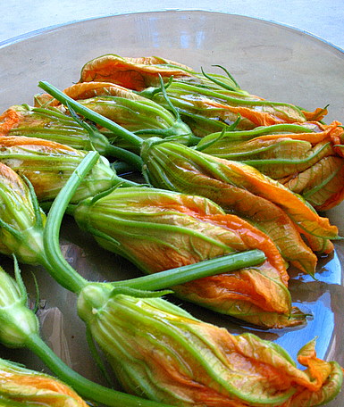 Zucchini Blossoms Stuffed With Ricotta and Basil