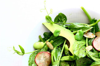 Pea Shoot Salad with Fava Beans