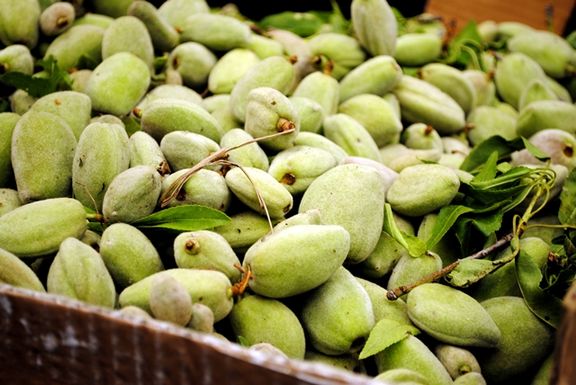 Fresh_almonds