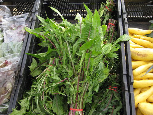 Dandelion Greens Salad 