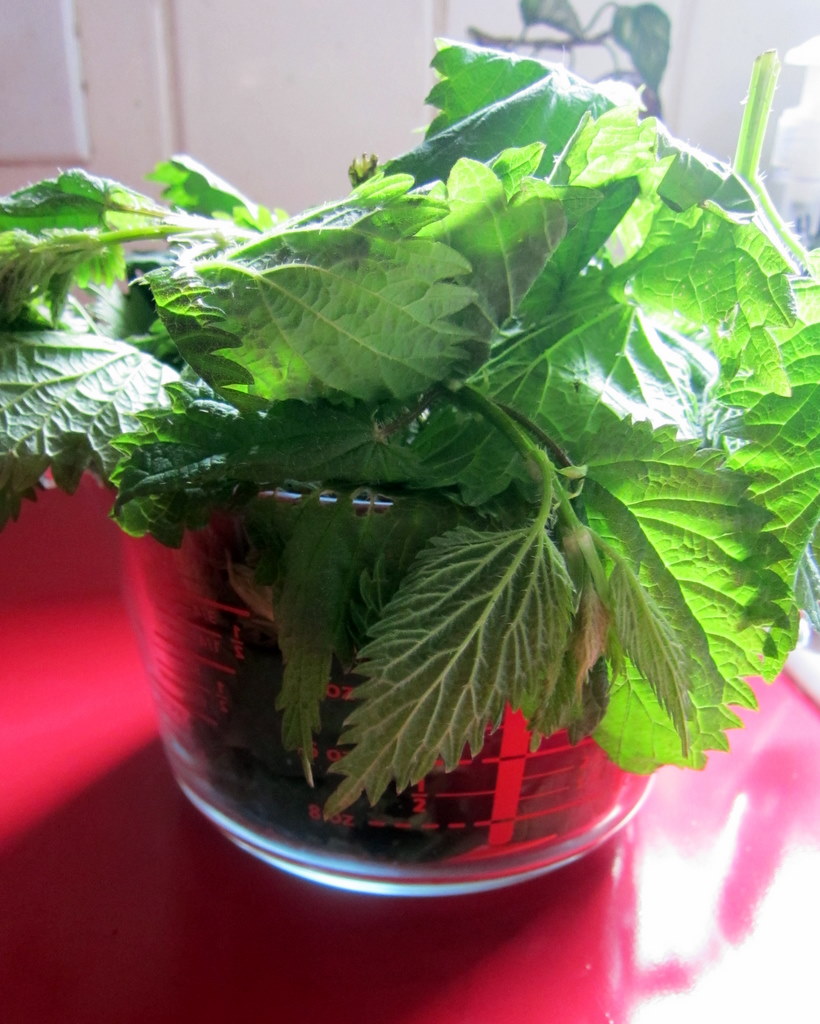 Nettle Tortellini in Brodo