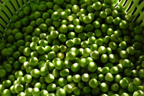 Lovely_fresh_peas