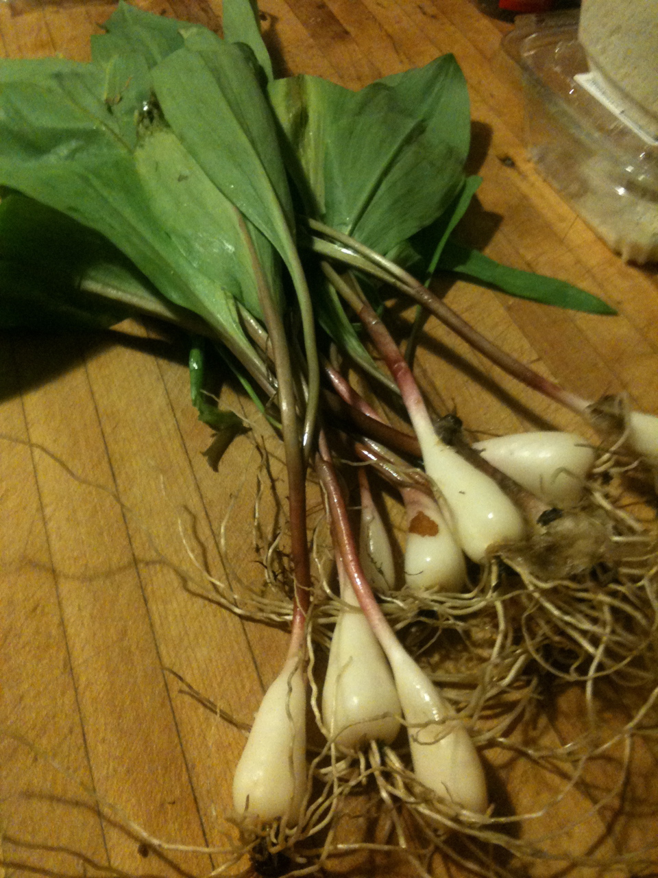 Welcome Spring Risotto