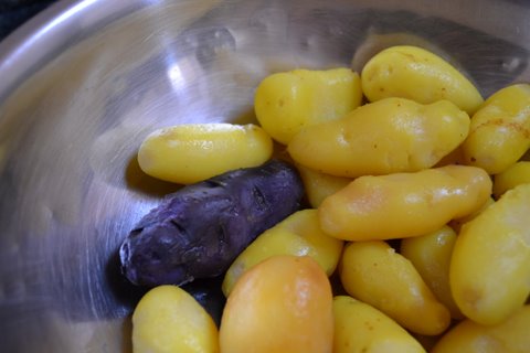 Ramps & fingerling potatoes curry.- an Indian Ramp Tramp contagion