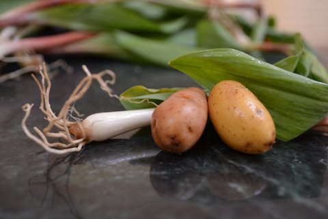 Ramps & fingerling potatoes curry.- an Indian Ramp Tramp contagion