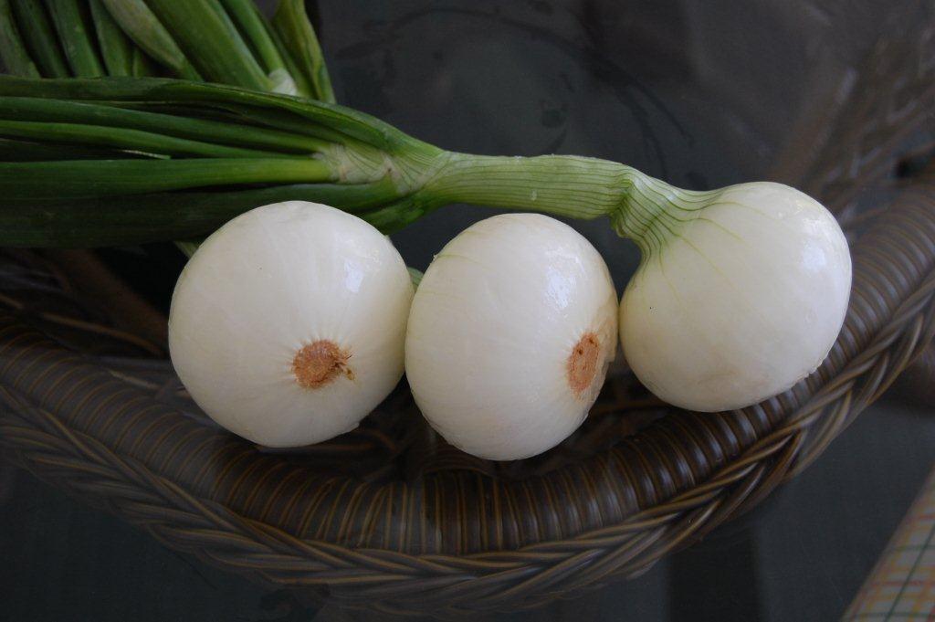Grill Roasted Spring Vidalias