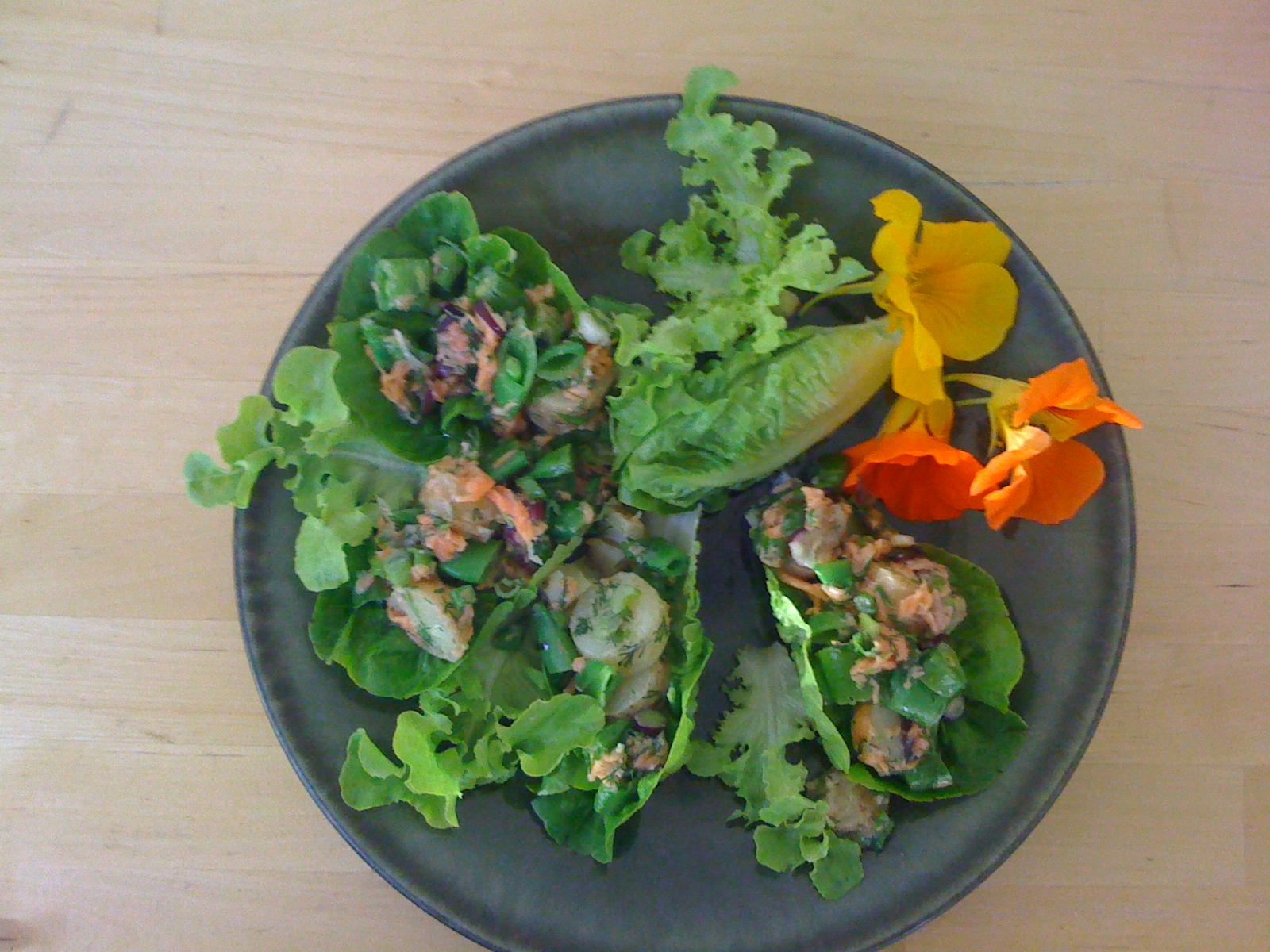 Springtime for Salmon