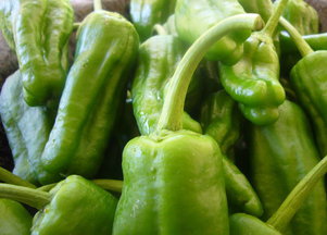 Pimientos de Padrón 