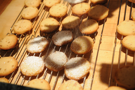 Candied Ginger Sables