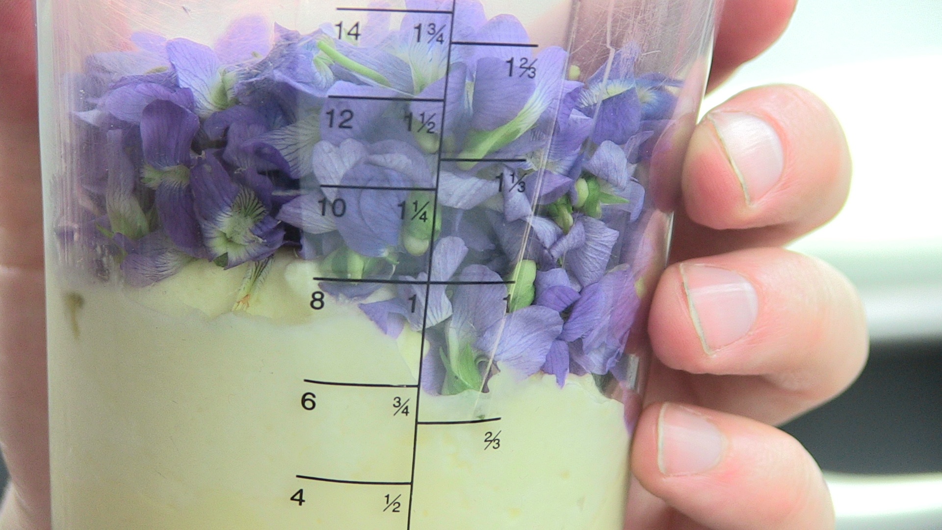 Violet Lassi