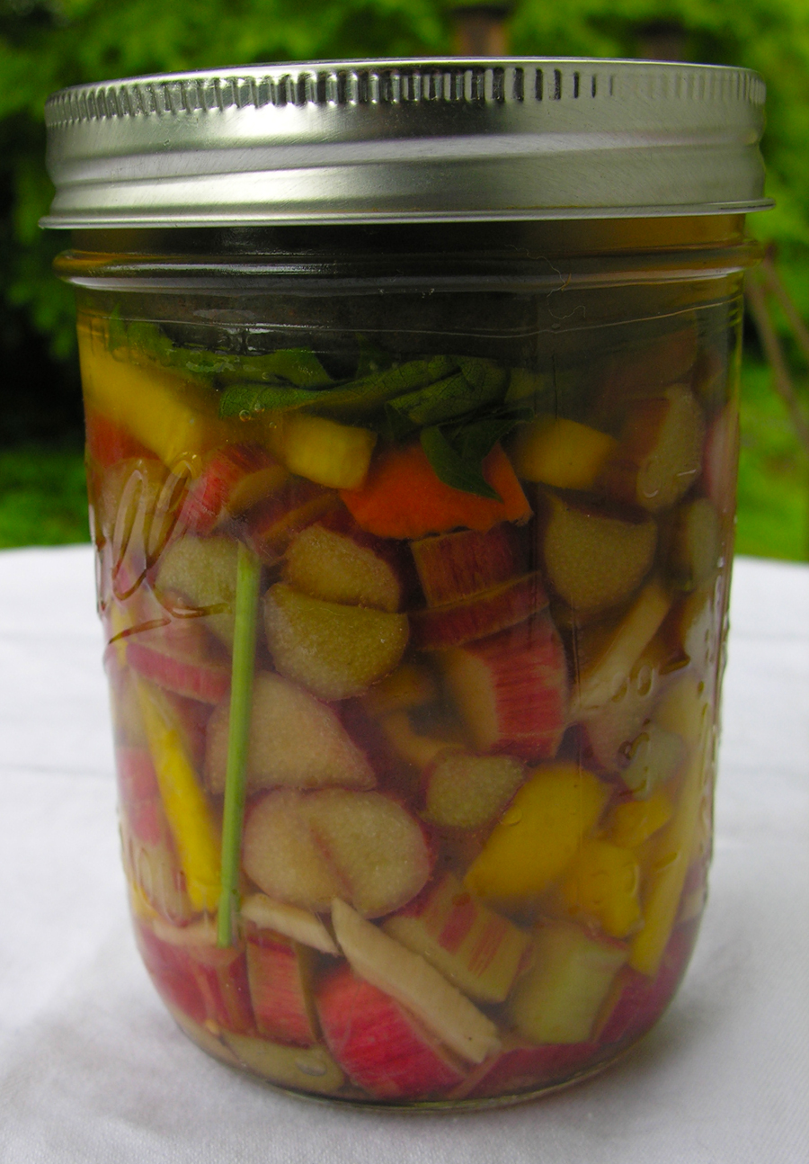 Stone Pickled Ginger Rhubarb