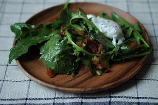 Dandelion Greens Salad 