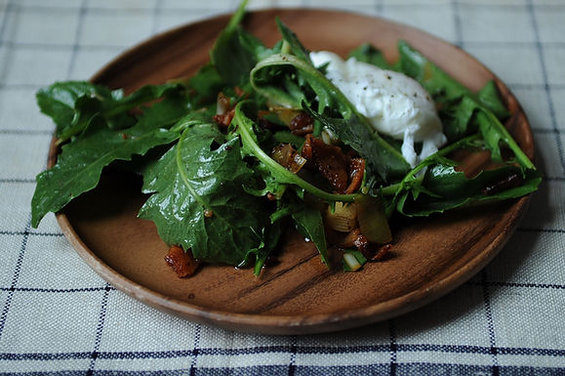 Dandelion Greens Salad 