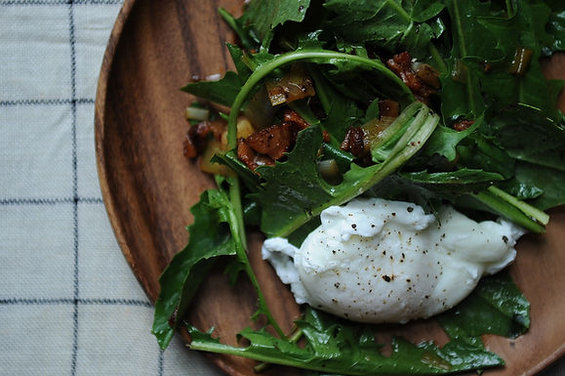 Dandelion Greens Salad 