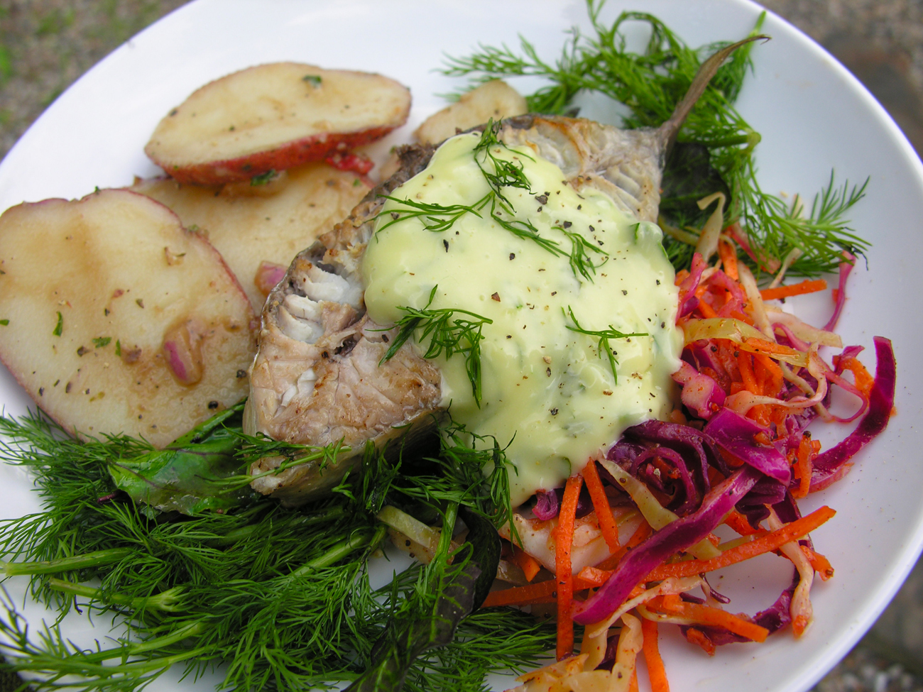 Umami aioli for fish, especially bluefish