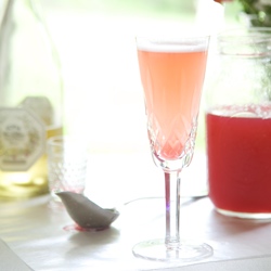 One-pot Rhubarb Cordial, Sauce, & Compote