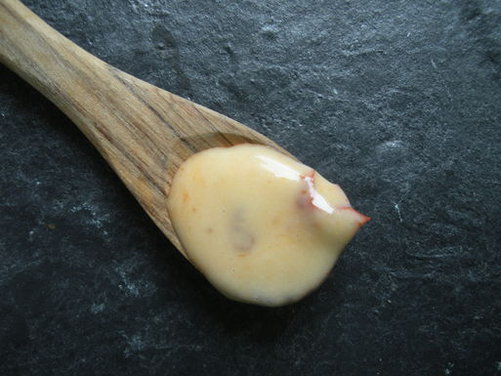 Smoky Chipotle aioli