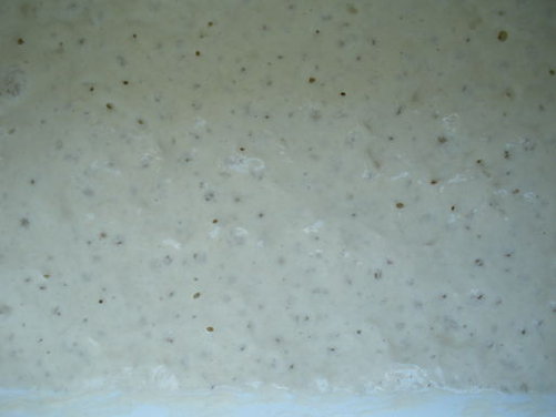 Anchovy Fritters/Paste Cresciute