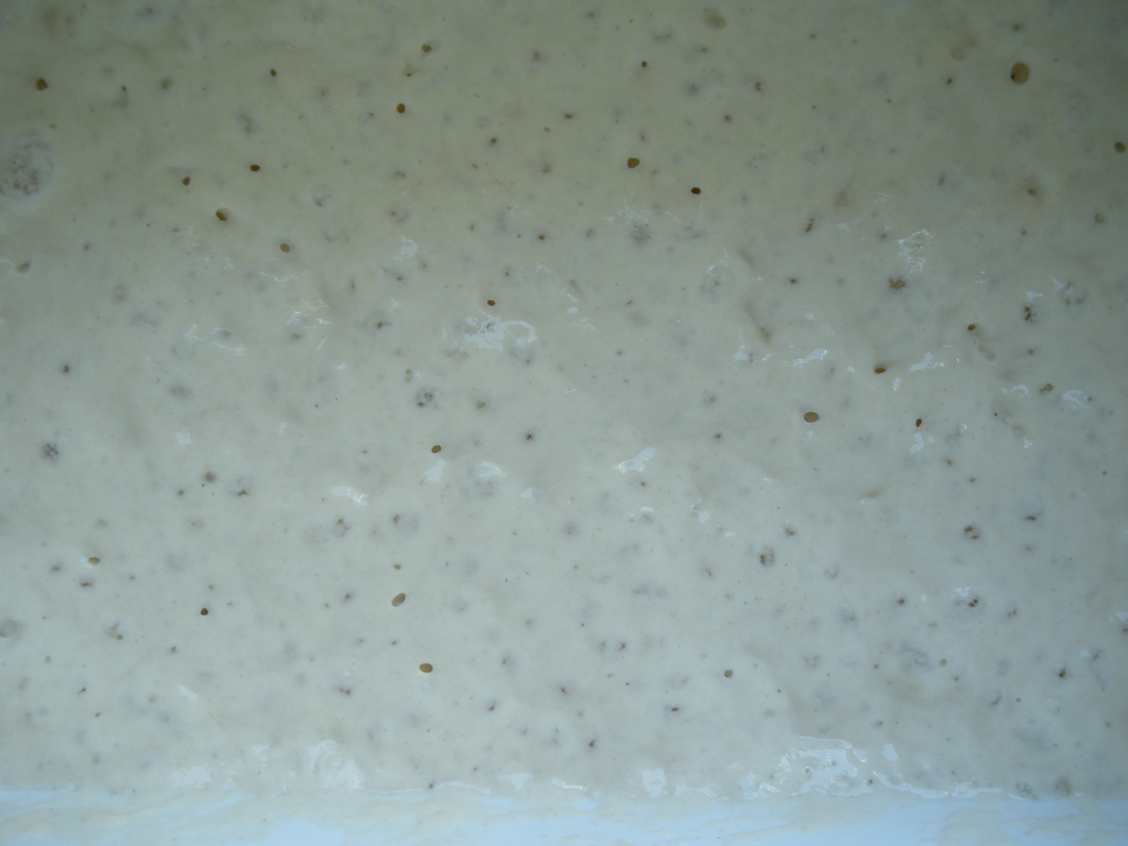Anchovy Fritters/Paste Cresciute