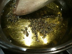 Lavender-Scented Honey Aioli