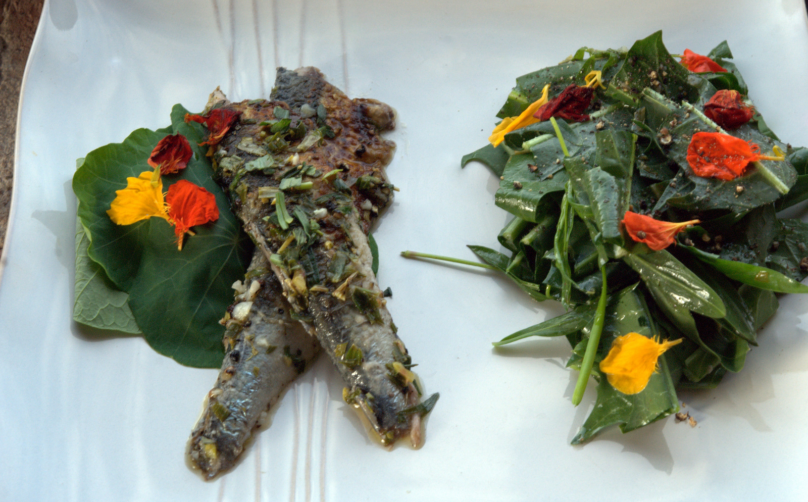 Sardines en Escabeche with Fresh Tarragon 