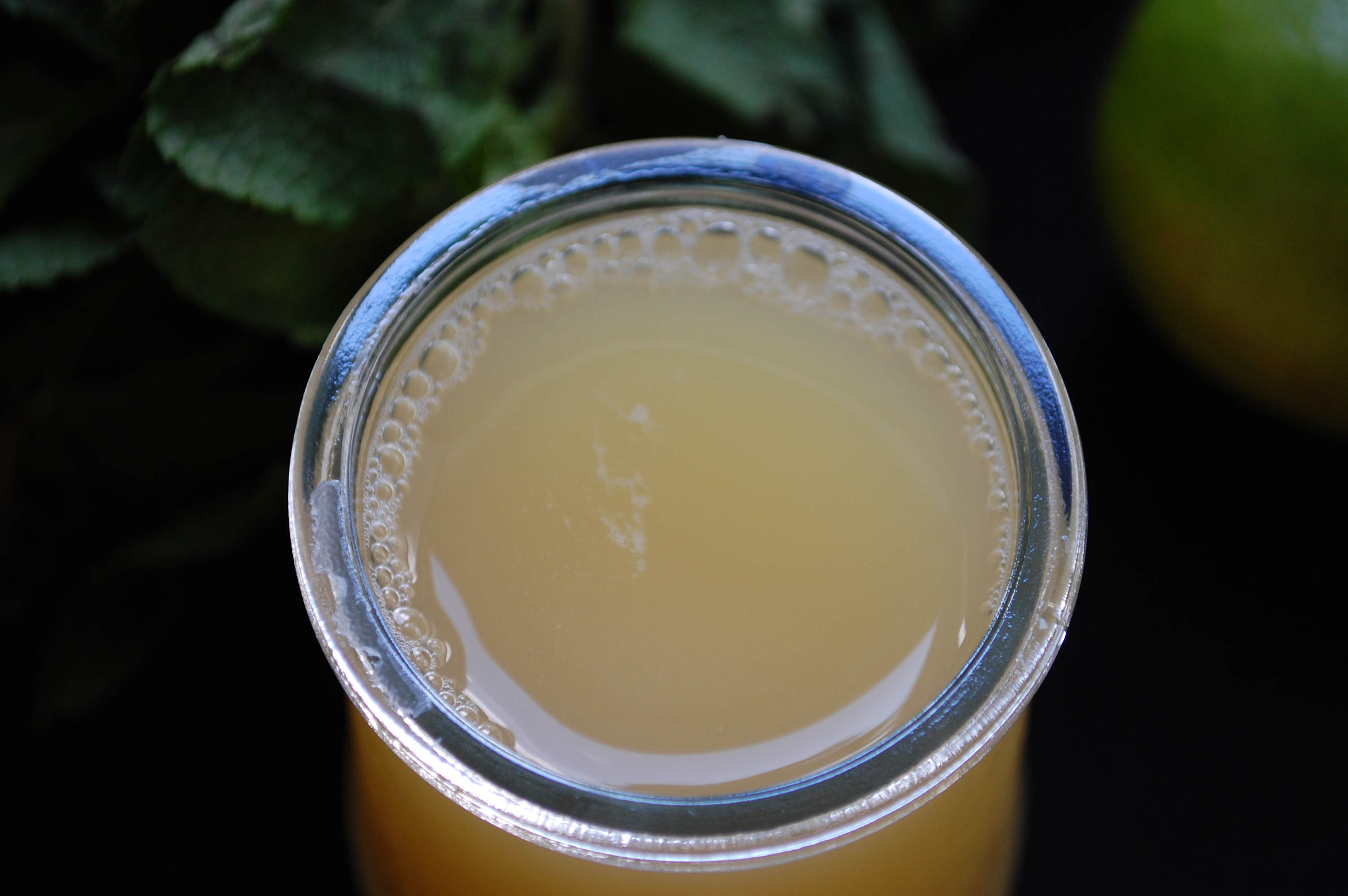 Apple-Mint-Lime cooler